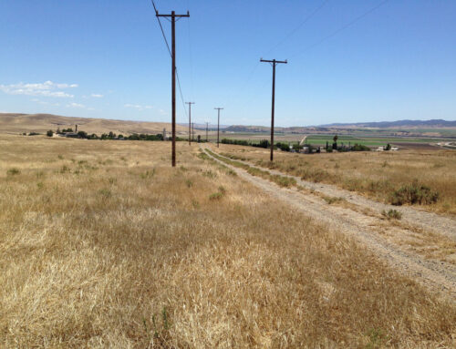 Water Supply Feasibility Study