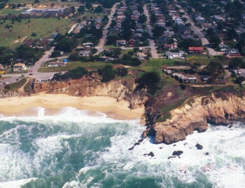 On-Call Engineering Program Management Services